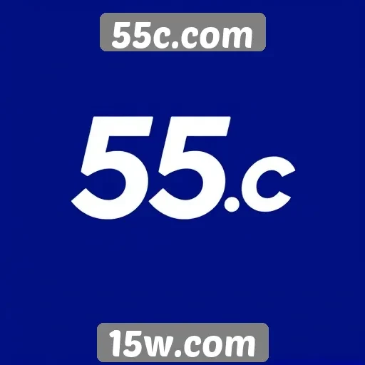 Análise da experiência do usuário no 55c.com